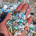 Foto 4 Microplásticos: su impacto en la degradación del medio ambiente