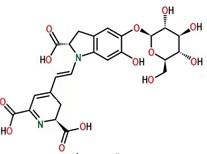 Fig. 8 Molécula de la betanina