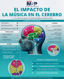 .Impacto de la música en el cerebro 