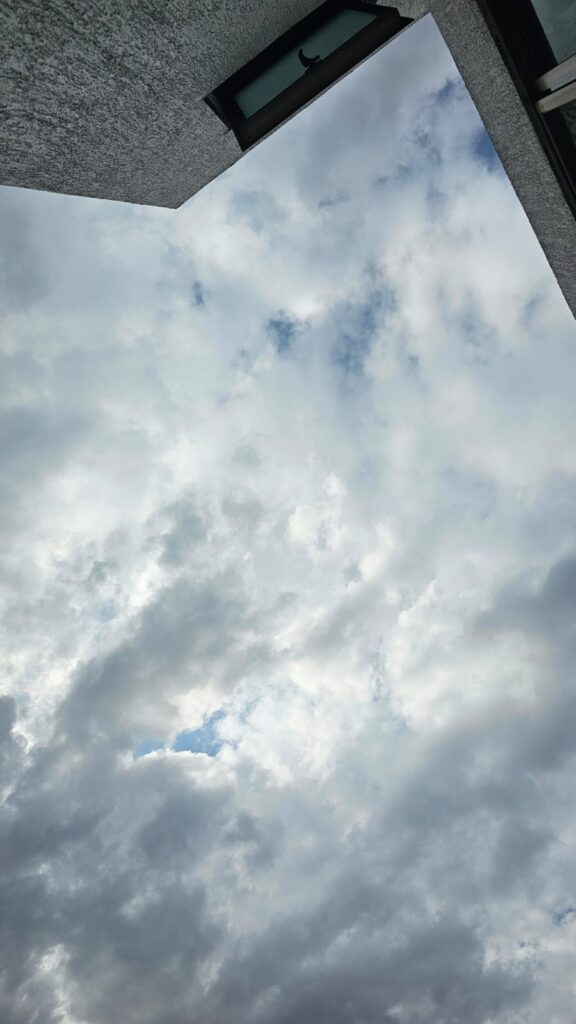 Proceso Metodológico de Observación