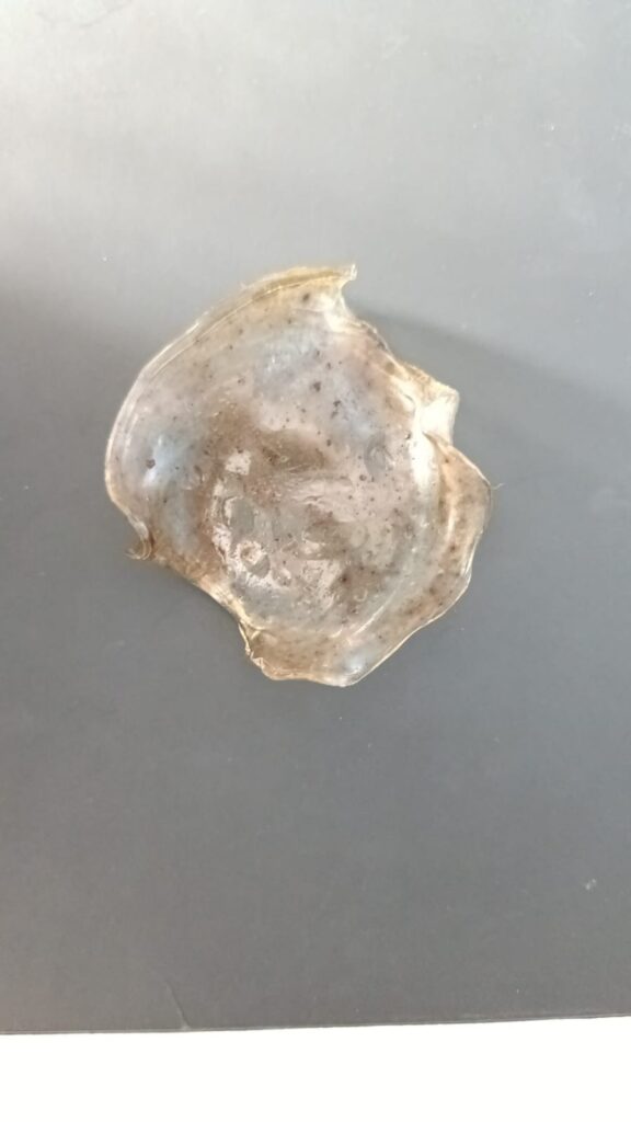 Bioplástico de grenetina