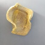 Bioplástico de nopal