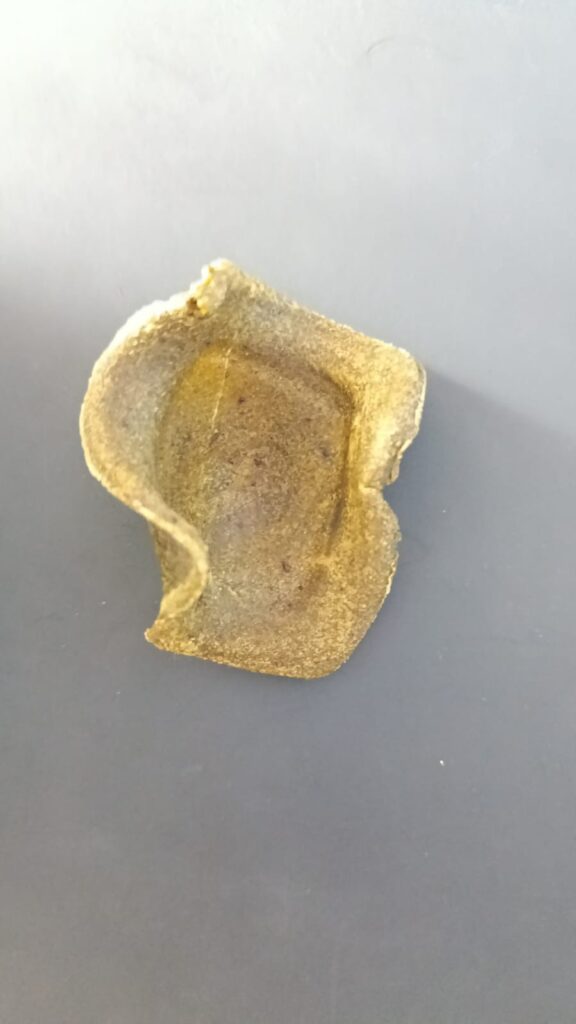 Bioplástico de nopal