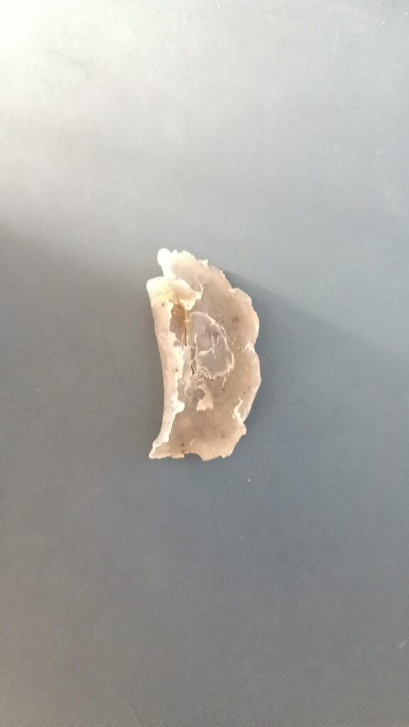 Bioplástico de Fécula de papa