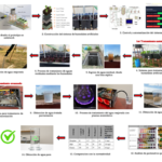 Desarrollo y funcionamiento del sistema