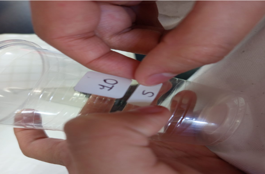 Fig. 3. Etiquetado de vasos