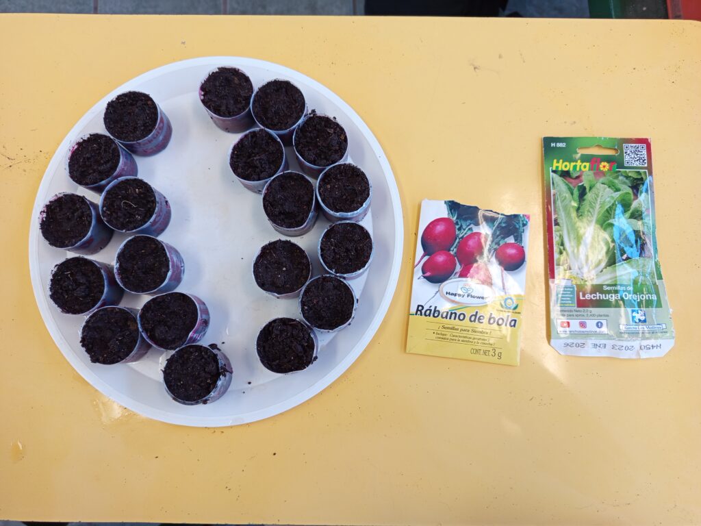 Fig. 6. Semillas a germinar