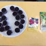 Fig. 6. Semillas a germinar