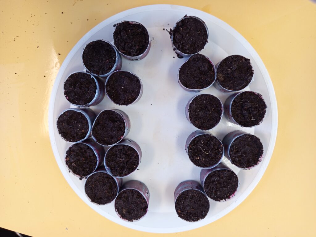 Fig. 7. Formación de cuencas en el humus humedecido