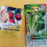 Fig. 8. Semillas (rábano de bola y lechuga orejona)