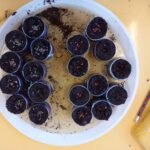 Fig. 9. Siembra de semillas