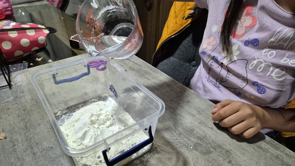 Procedimiento. integra