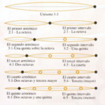 Figura 2. Serie armónica de cuerdas