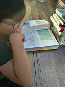 Figura 5.Consulta bibliográfica.