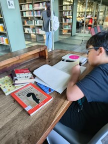 Figura 6.Consulta bibliográfica.