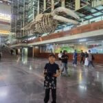 Visita a la biblioteca